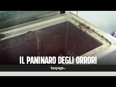 I vermi registrano come trattare Targhe da vermi per bambini e adulti il nome di targhe