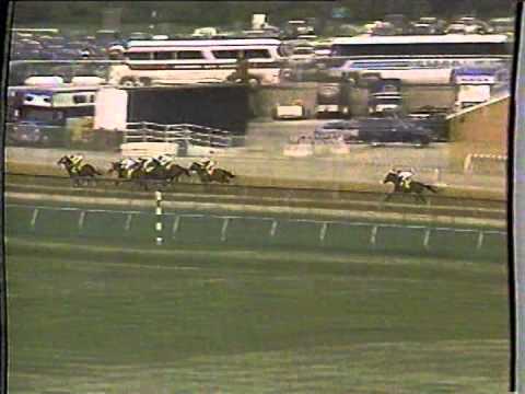 1988 Pimlico Special H. -- Bet Twice