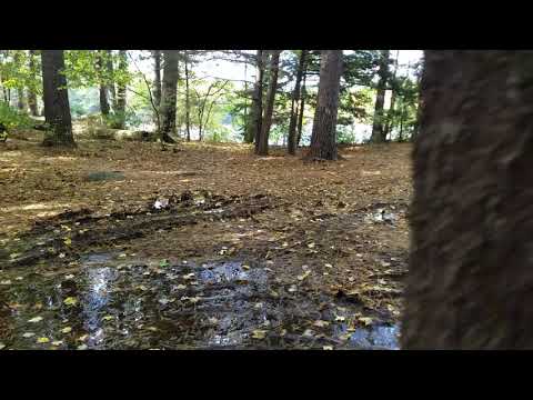 Site 71 Horse Island...muddy in October. generally secluded, below the wash house