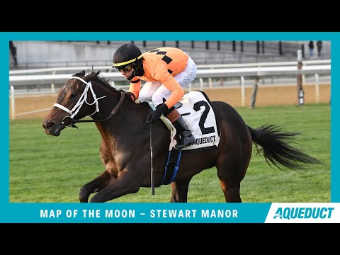 MAP OF THE MOON - 2025 - Stewart Manor