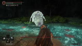 ELDEN RING　初見プレイ　あと半分
