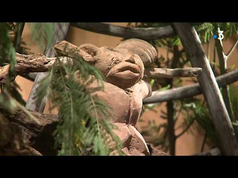 Toulouse : la nouvelle vie du collectif d'artistes Mix'art Myris