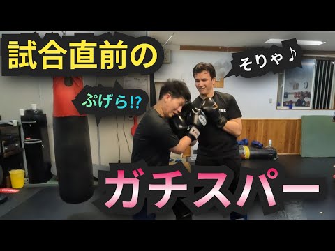 試合直前‼️ガッチガチのガチスパー‼️#キックボクシング #空手 #ガチスパー #スパーリング #ミドルキック #ミット打ち #総合格闘技 #mma #柔術 #ミュウツー #昇龍會#右アッパー