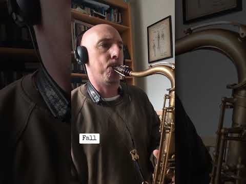 Playing Fall by Wayne Shorter #jazz #saxorelaxing #jazzinstrument #saxophone