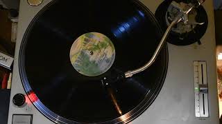 Gamblin' Man – Bonnie Raitt