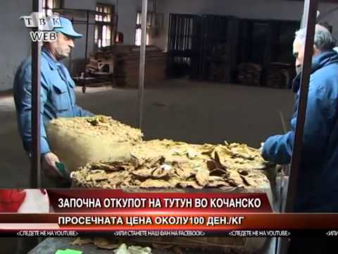Zapocna otkupot na tutun vo Kocani - cenata okolu 100 denari