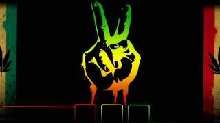 ▶Best ReggaeStep Mix | Psychotic Drops | 1 Hour | 2015