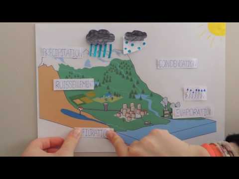 Le cycle de l'eau