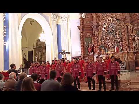 Sing Sing So | Consolatio Choir