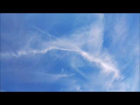 Wochenorakel 19  bis 25 Juni 2017