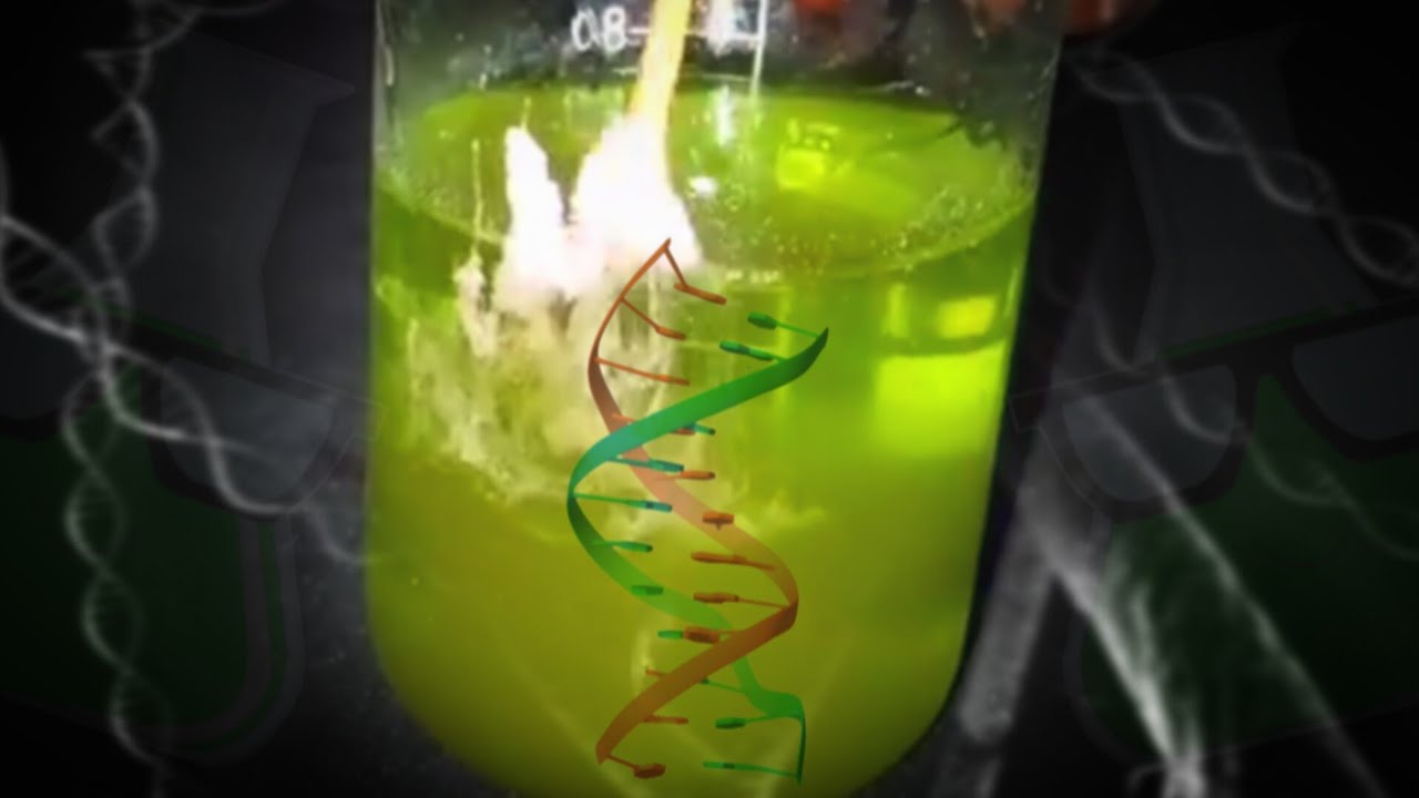Como Extrair o Seu Próprio DNA!!! (Projeto de Ciências) #quimica #ciencia #comunidadequimica #dna