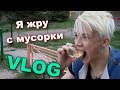 VLOG: Я жру с мусорки / Андрей Мартыненко 