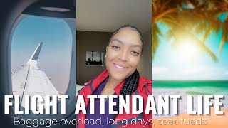 FLIGHT ATTENDANT LIFE | BAGGAGE OVERLOAD, SEAT FEUDS , LONG DAYS | VLOG 3