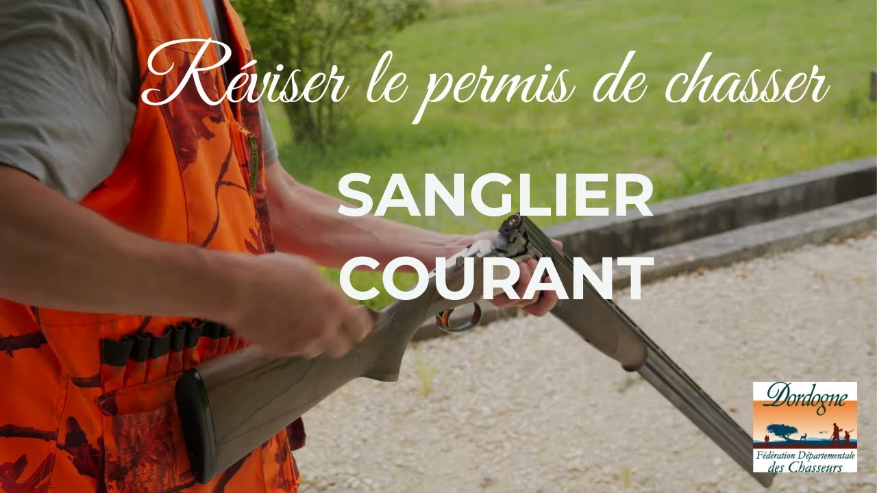 Examen permis de chasser FDC24 - Atelier Sanglier courant
