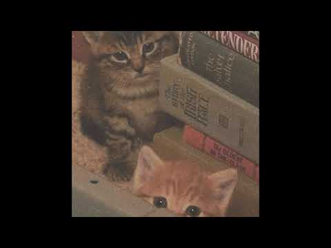 FREE convolk type beat & fats'e type beat midwest emo 2021 "Idylia"