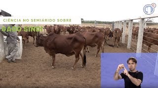 Miniatura do vídeo
