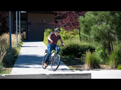 Electra Townie Bicycle 7D Review: Is It Worth The Money? [2024]