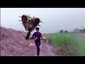 Anaconda Full Movie In Hindi Dubbed Gaint Anaconda Full Movie In Hindi Dubbed