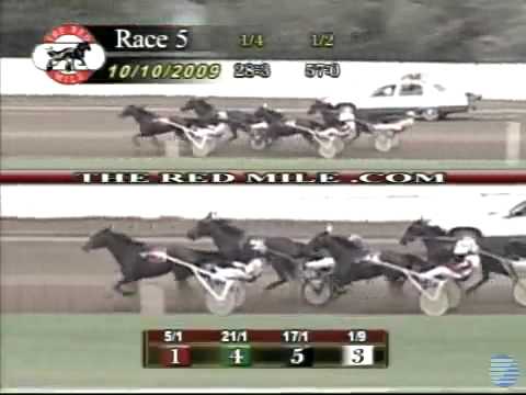 Buck I St Pat wins the 2009 Allerage Farm Mares