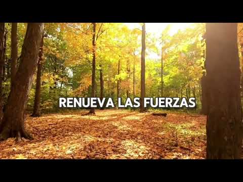 "BUENOS DÍAS: DIOS TE REGALA UN NUEVO COMIENZO"