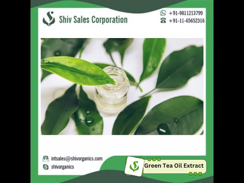 Green tea oil extract, packaging size: 5 kg, liquid