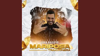 Mariposa traicionera