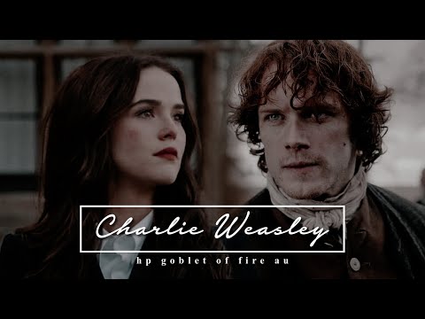 charlie weasley┃hp goblet of fire au