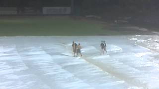 Riverdogs rain delay fan on field