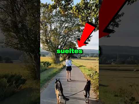 No sueltes la correa de tu perro 😱😳 #shorts
