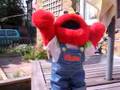 Action Elmo