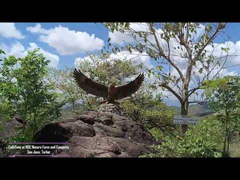 CAFETANA inside RDC NATURE FARM AND CAMPSITE Sitio Baag San Jose Tarlac