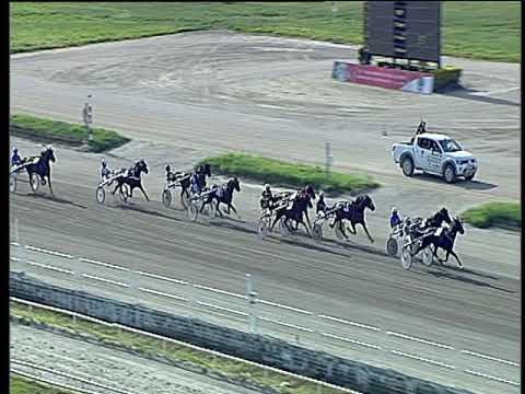 Trotto 08/06/2019 - 7ª corsa