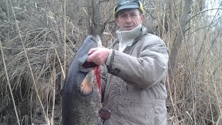 Ссылка