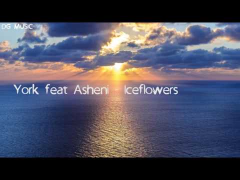York feat Asheni - Iceflowers