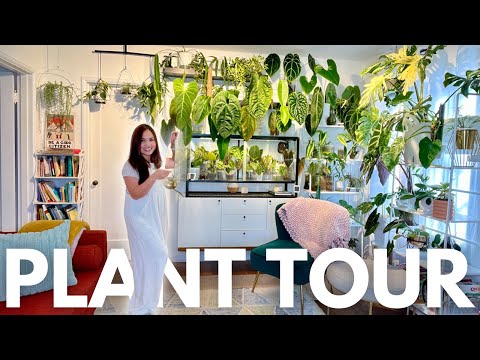 Discover my Living Room Jungle: 300+ Rare Houseplants! 🌿 | Part 1 of Ultimate Plant Tour