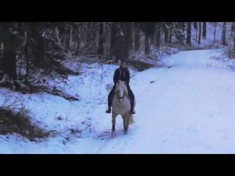 This is our story, that we could take back some day ♥♥