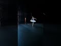 Very Nice Beautiful Ballarina Angelina Vorontsova Mikhailovskyi Theater