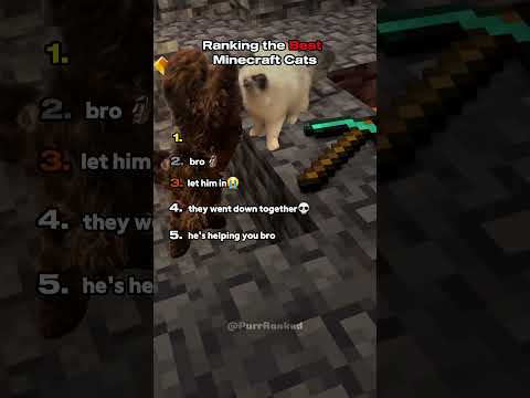 Ranking the Best Minecraft Cats 🐈😻  #funny #cat #rankings