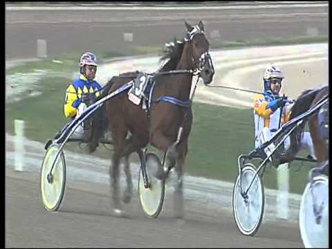 Trotto 13/12/2015 - 2° corsa Pr. PROGETTO UOMO