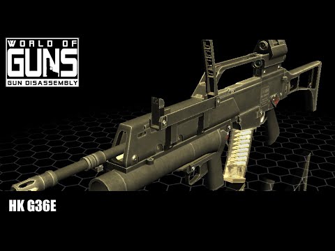 World of Guns - HK G36E