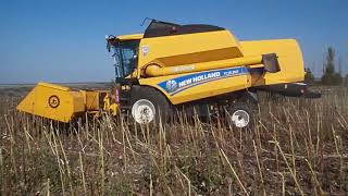 Уборка подсолнуха 2017 комбайном NewHolland