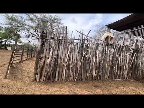 Visita a Fazenda Monte Branco em Barra de São Miguel Paraíba- PB