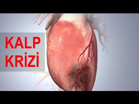 Kalp Krizi