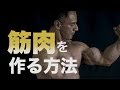 筋タンパク合成のメカニズムを山本義徳先生が解説!