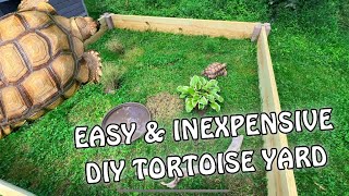 DIY an Inexpensive SUPER EASY Outdoor Tortoise Yard // Sulcata Tortoise Enclosure