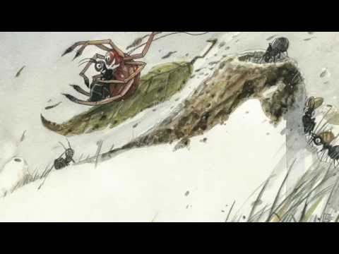 Video Un amico inatteso / An unexpected friend