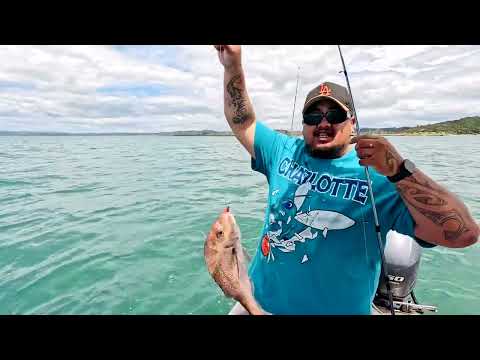 Just Another Day Fishing Up North, Bay Of Islands📍