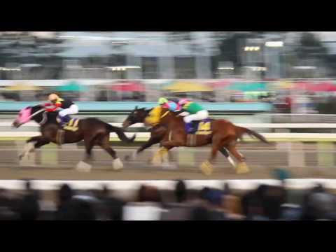 2016.12.29 東京大賞典 大井競馬場 現地映像
