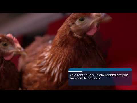 Système volière Comfort 2.0 ®