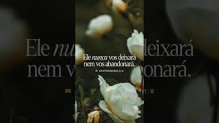 Deuteronômio 31:8 NTLH #jesus #fe #vidaeterna #thechosen #reflexão #biblia #entendendoabiblia